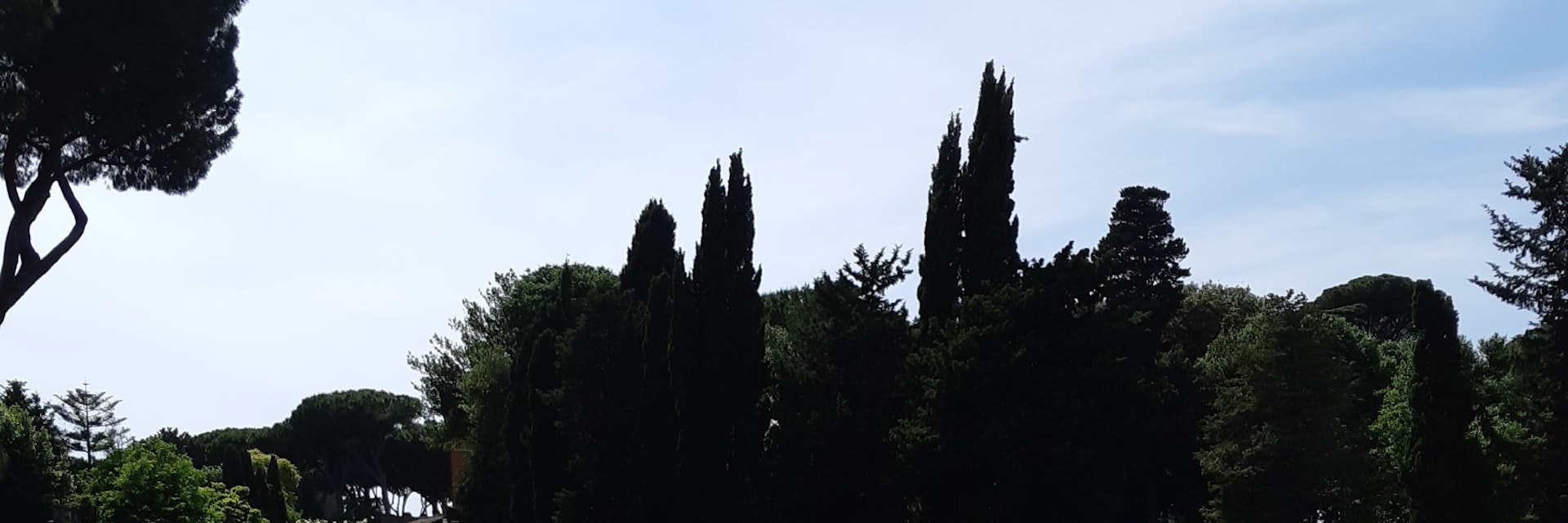 A tranquil stretch of Rome's Roseto Comunale.
