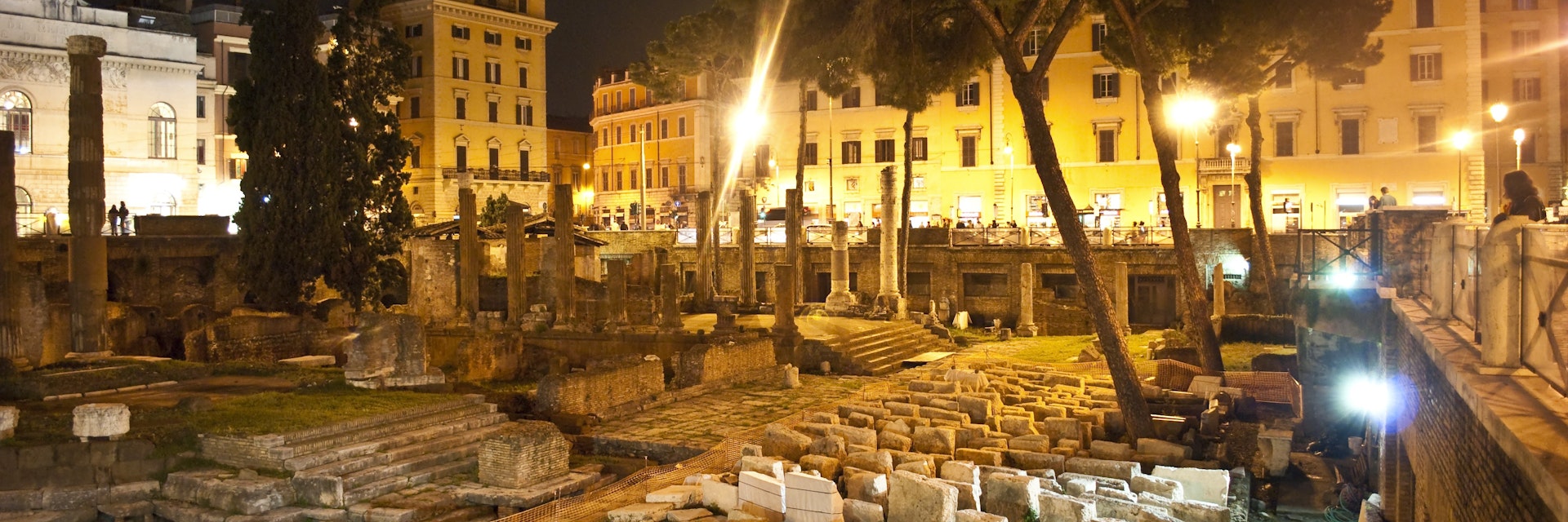 Area Sacra temple remains in Largo di Torre Argentina.