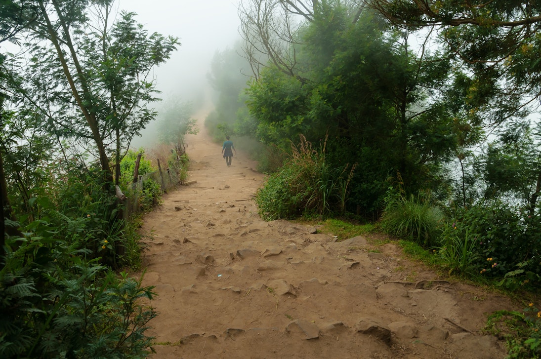 Road in fog at the Top station in Munnar
