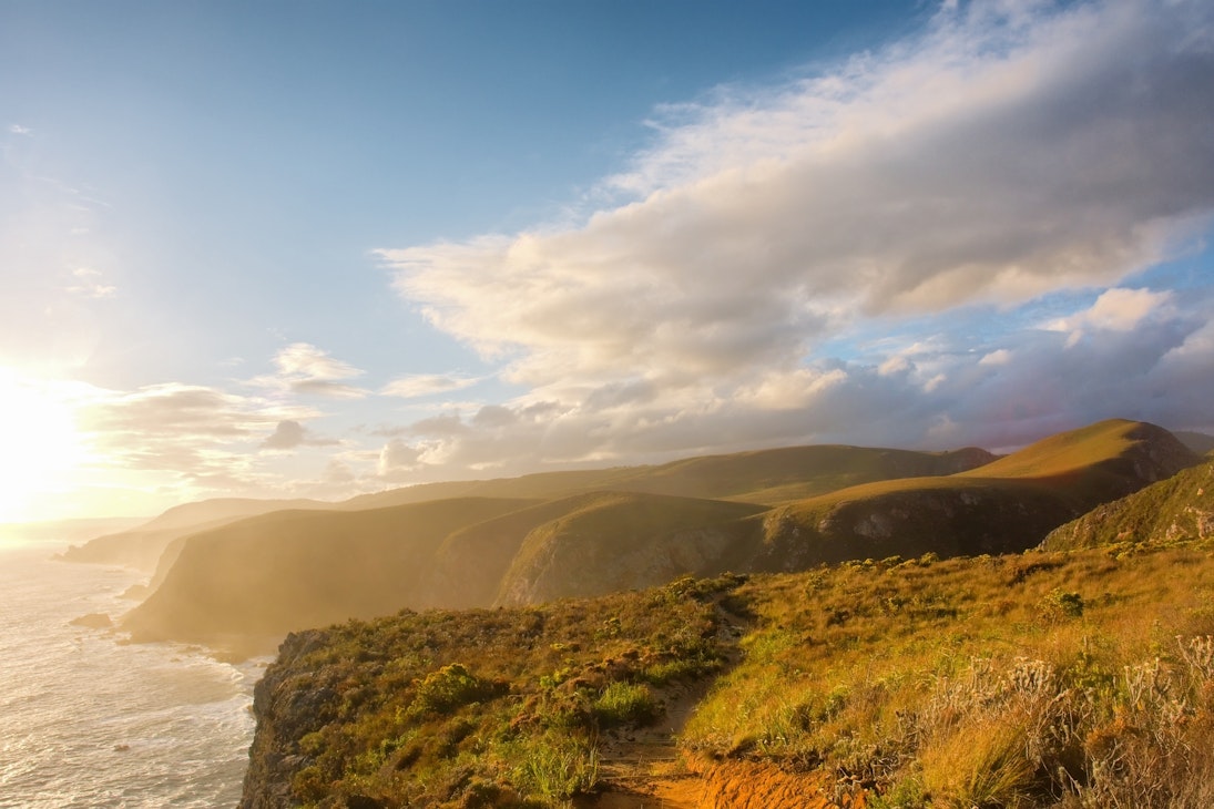 Misty beach in sunset light. Shot on the Otter trail in the Tsitsikamma National Park, Garden Route area, Western Cape, South Africa. ; Shutterstock ID 270602708; Your name (First / Last): Josh Vogel; Project no. or GL code: 56530; Network activity no. or Cost Centre: Online-Design; Product or Project: 65050/7529/Josh Vogel/LP.com Destination Galleries