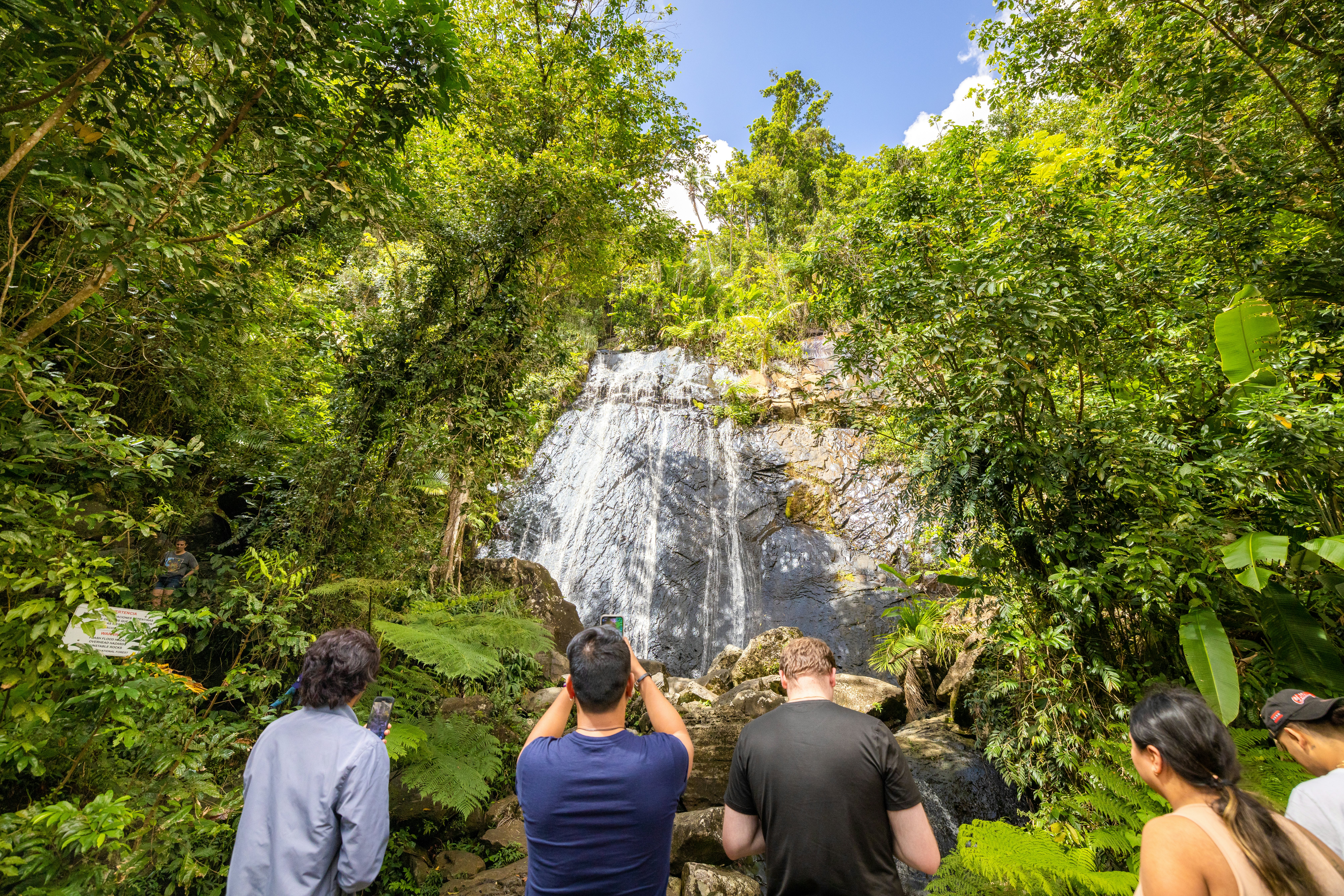 El Yunque National Forest