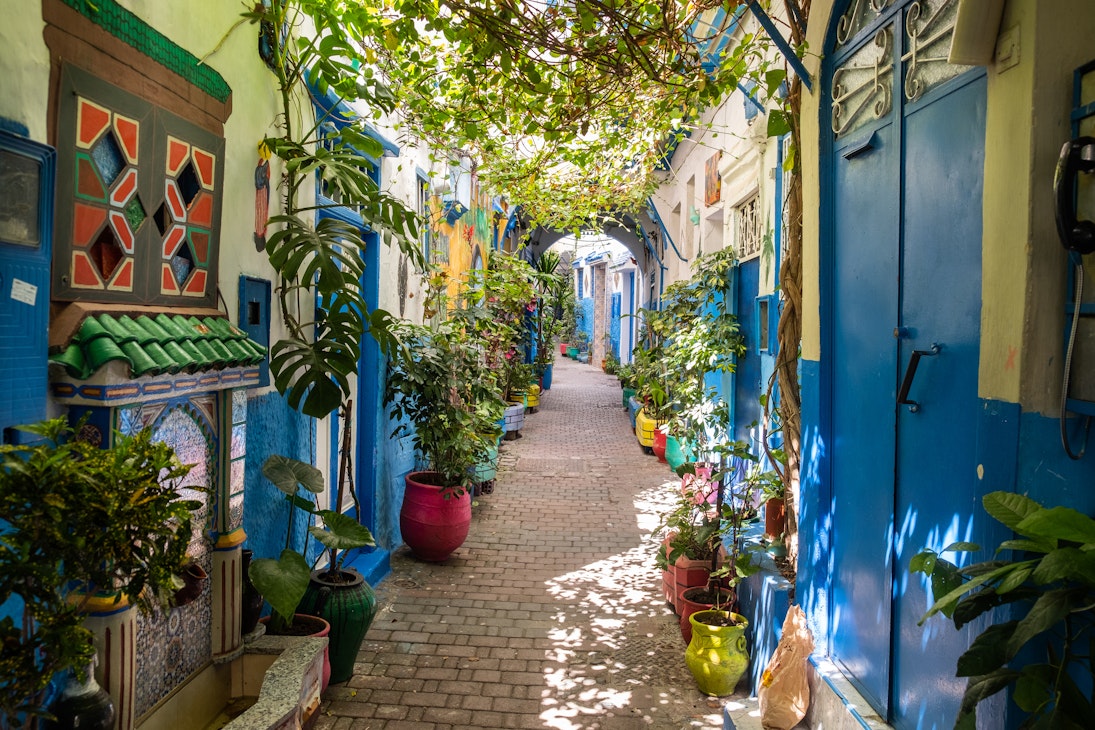 A beautiful and suggestive Tangier kasbah with colored walls and doors and a lot of plant and flowers outdoor.
1412324267
