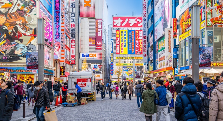 Crowds pass below colorful signs in Akihabara. The electronic district has evolved into a shopping area for video games, anime, manga, and computers.