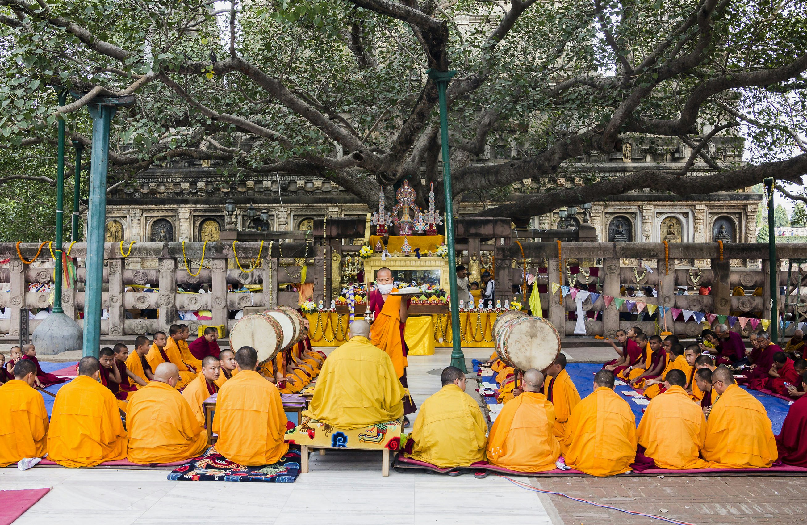 Monks hold a prayer ritual beneath the sacred bodhi tree at Bodhgaya, Bihar, India.