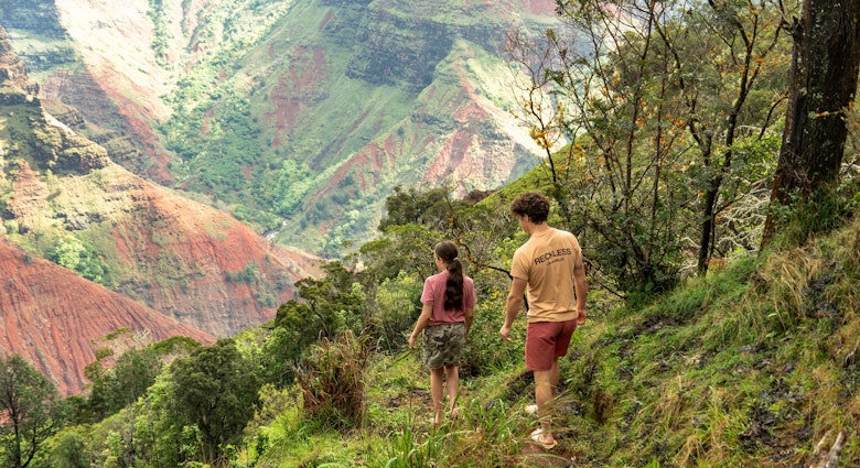 Waimea canyon in Kauai, Hawaii License Type: media Download Time: 2024-04-29T09:13:51.000Z User: hannahblackie10 Is Editorial: No purchase_order: