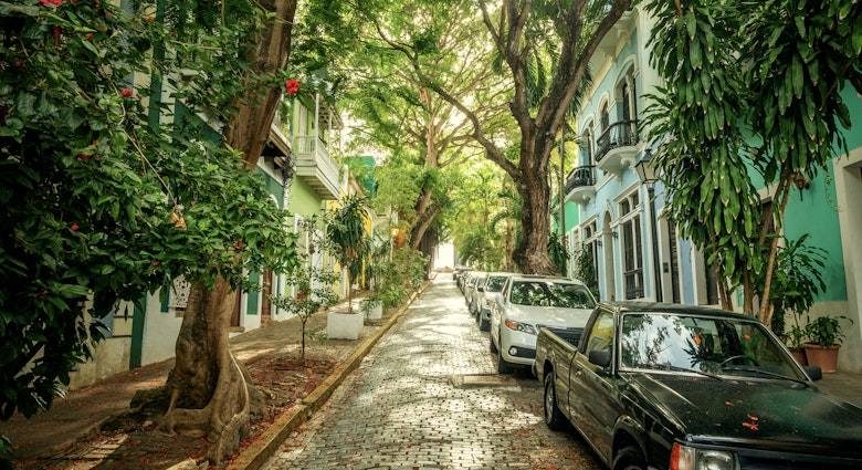 Colorful houses in old San Juan, Puerto Rico License Type: media Download Time: 2023-06-20T12:29:23.000Z User: aniabartoszek Is Editorial: No purchase_order: 56530/Global Publishing WIP
Alley, Arbour, Car, City, Garden, Nature, Neighborhood, Outdoors, Path, Pickup Truck, Plant, Road, Sidewalk, Street, Tree, Tree Trunk, Urban, Vegetation, Vehicle, Walkway
Colorful houses in old San Juan, Puerto Rico